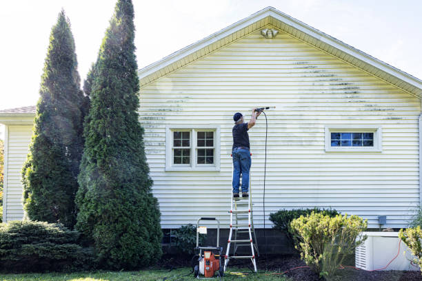 Best Patio and Deck Pressure Washing  in Springdale, PA