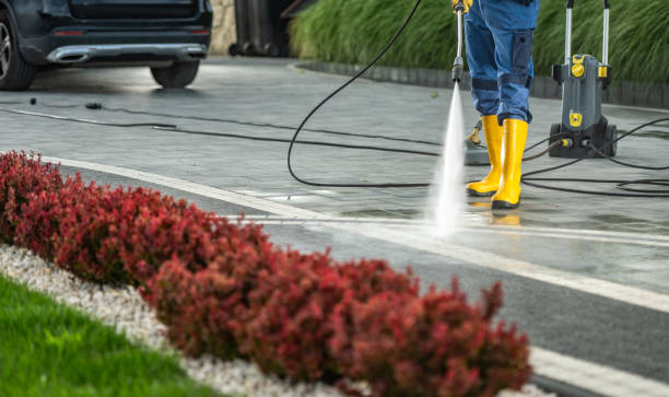 Best Graffiti Removal  in Springdale, PA